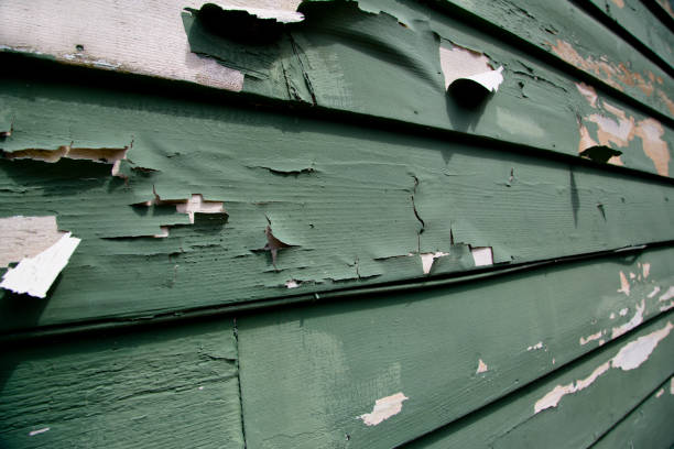 Junk Removal for Events in Batavia, NY