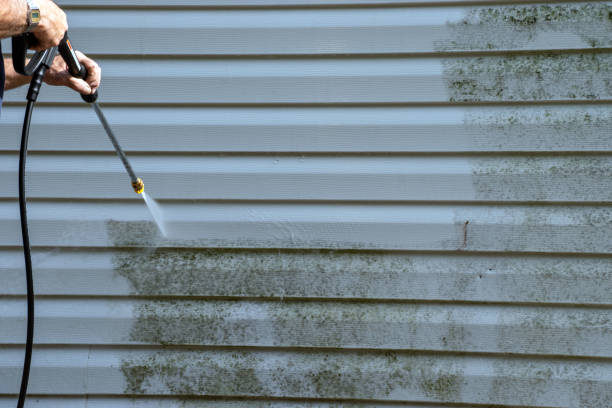 Best Demolition Debris Removal  in Batavia, NY